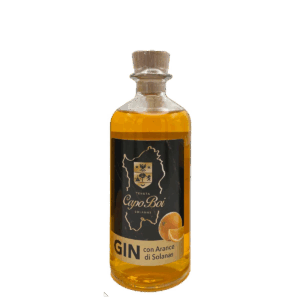 Gin con arance di Solanas 20 cl