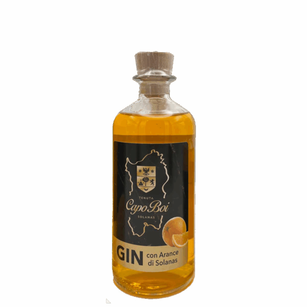 Gin con arance di Solanas 20 cl