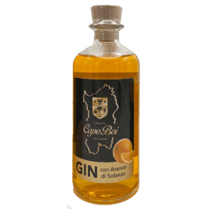Gin con arance di Solanas 50cl