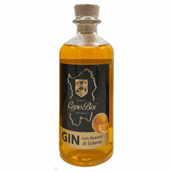 Gin con arance di Solanas 50cl