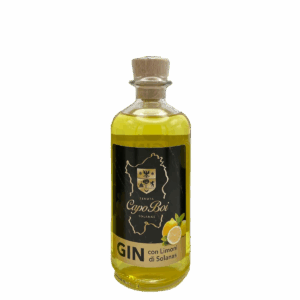Gin con limoni di Solanas 20 cl