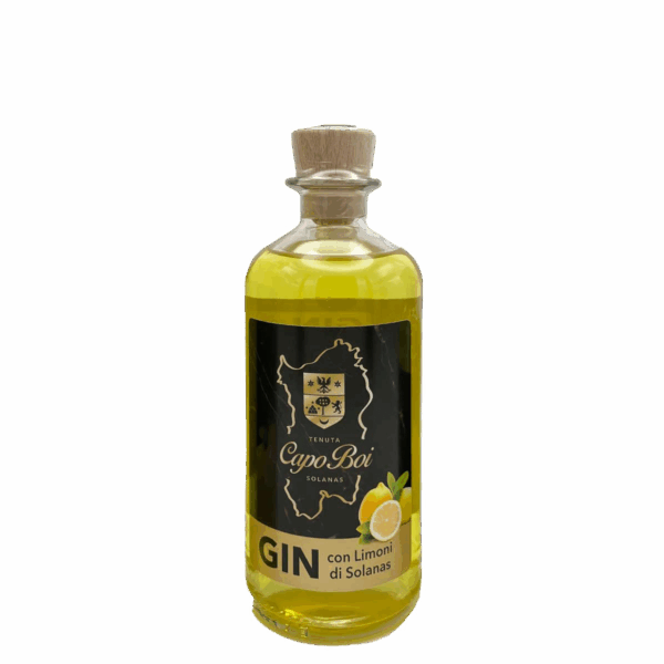 Gin con limoni di Solanas 20 cl