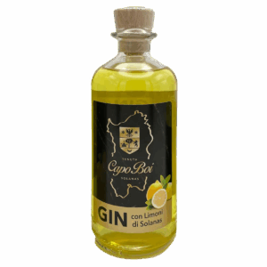 Gin con limoni di Solanas 50cl
