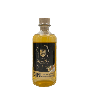 Gin con sale marino sardo e mandarini di Solanas 20 cl