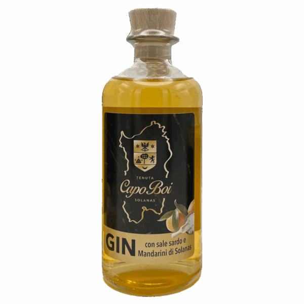 Gin con sale marino sardo e mandarini di Solanas 50cl